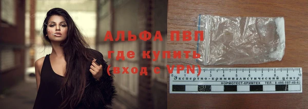 дмт Белокуриха